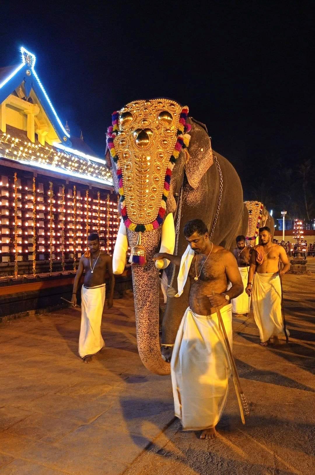 Chirakkal Kalidasan second tallest elephant in India