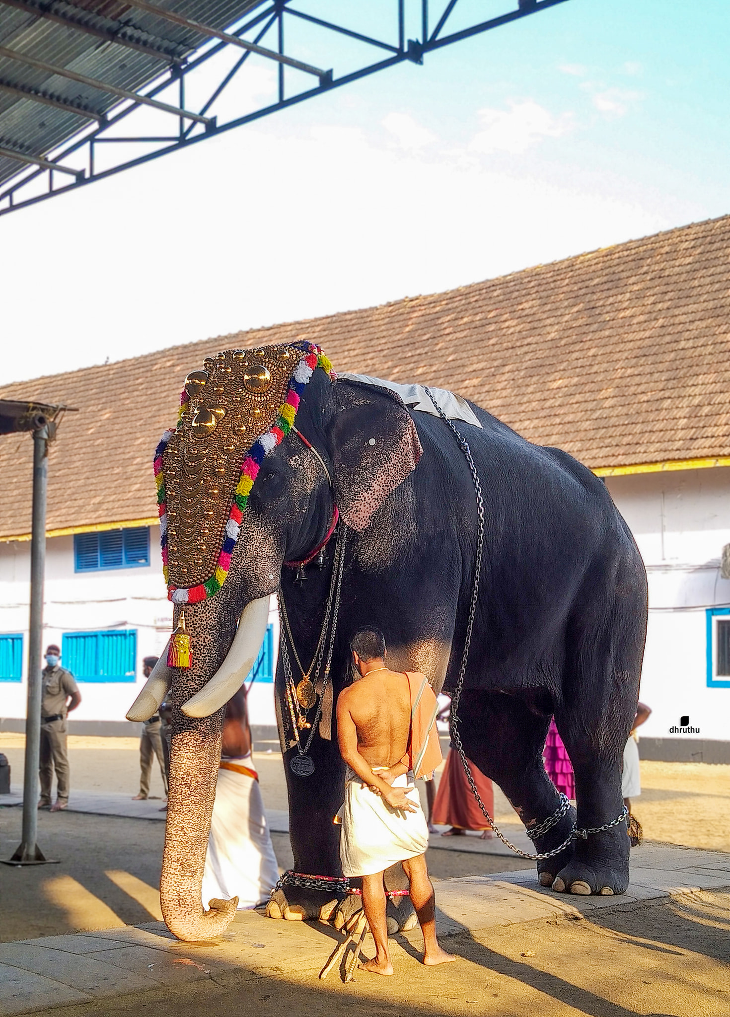 Chirakkal Kalidasan Bahubali Elephant