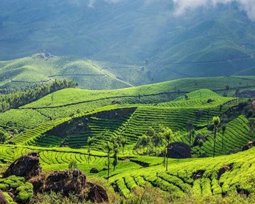 Hill Stations